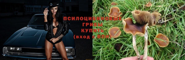 MDMA Premium VHQ Бородино